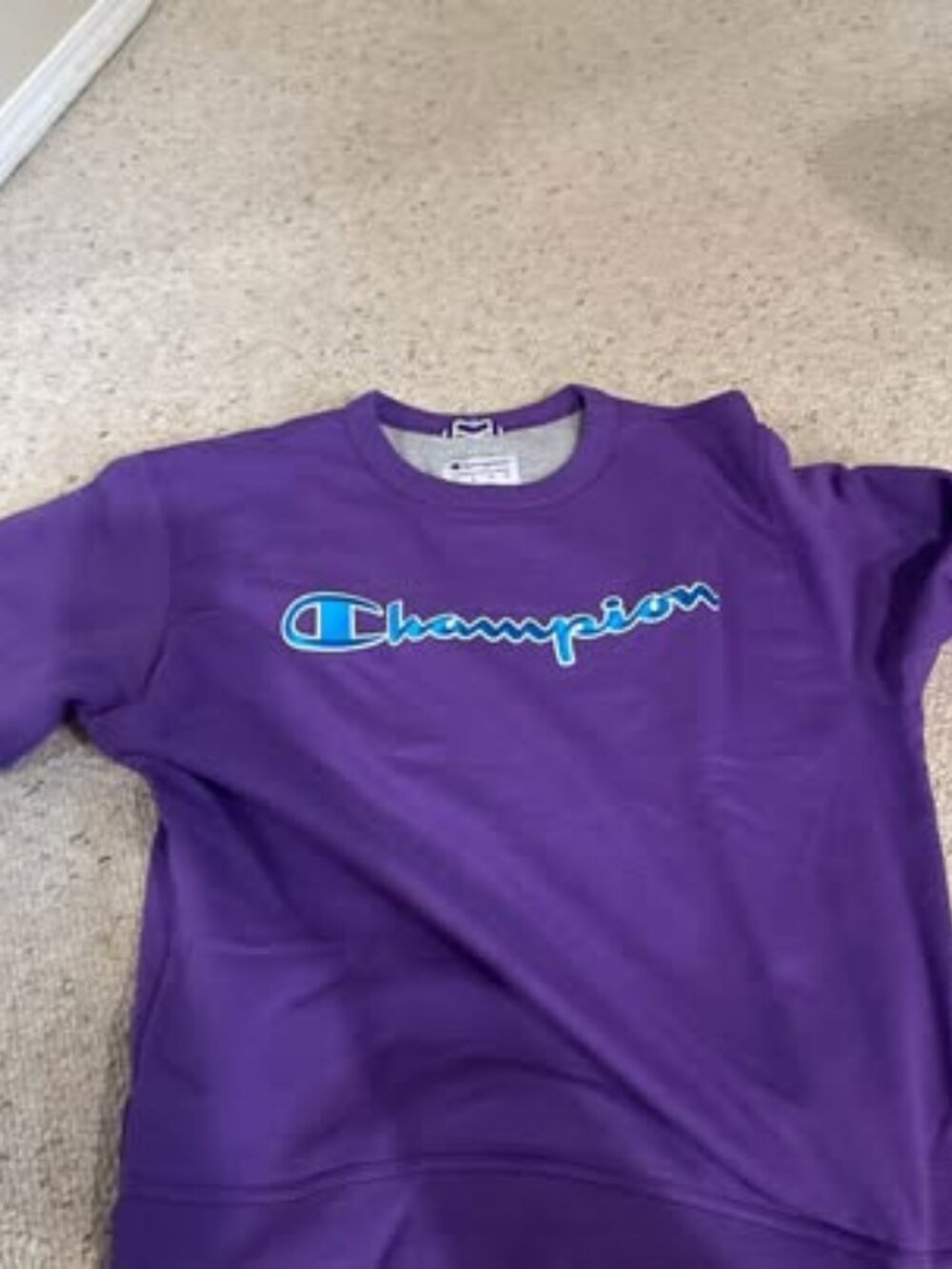 Champion Men's Sweater